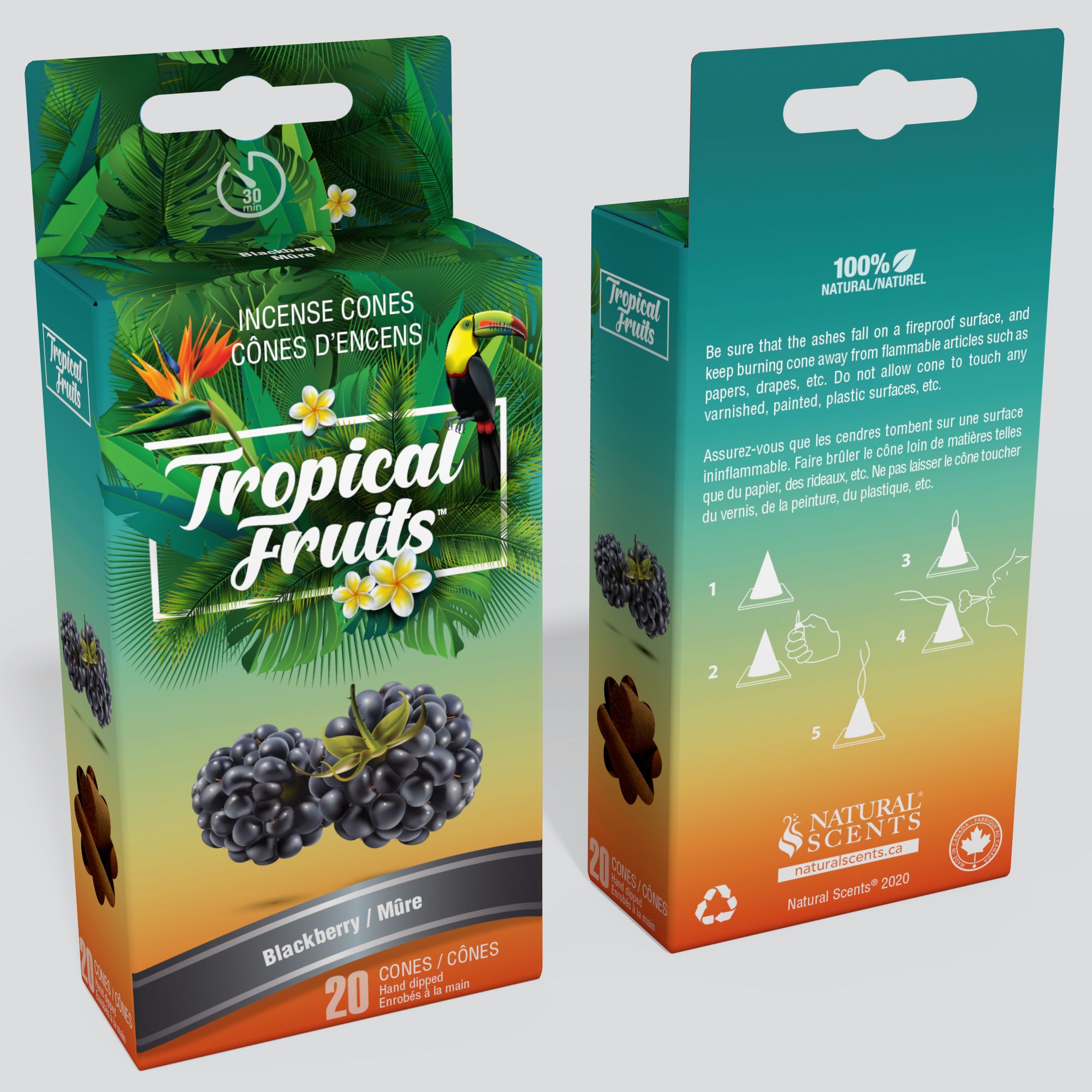 Tropical Fruits™ Blackberry Incense Cones #52851