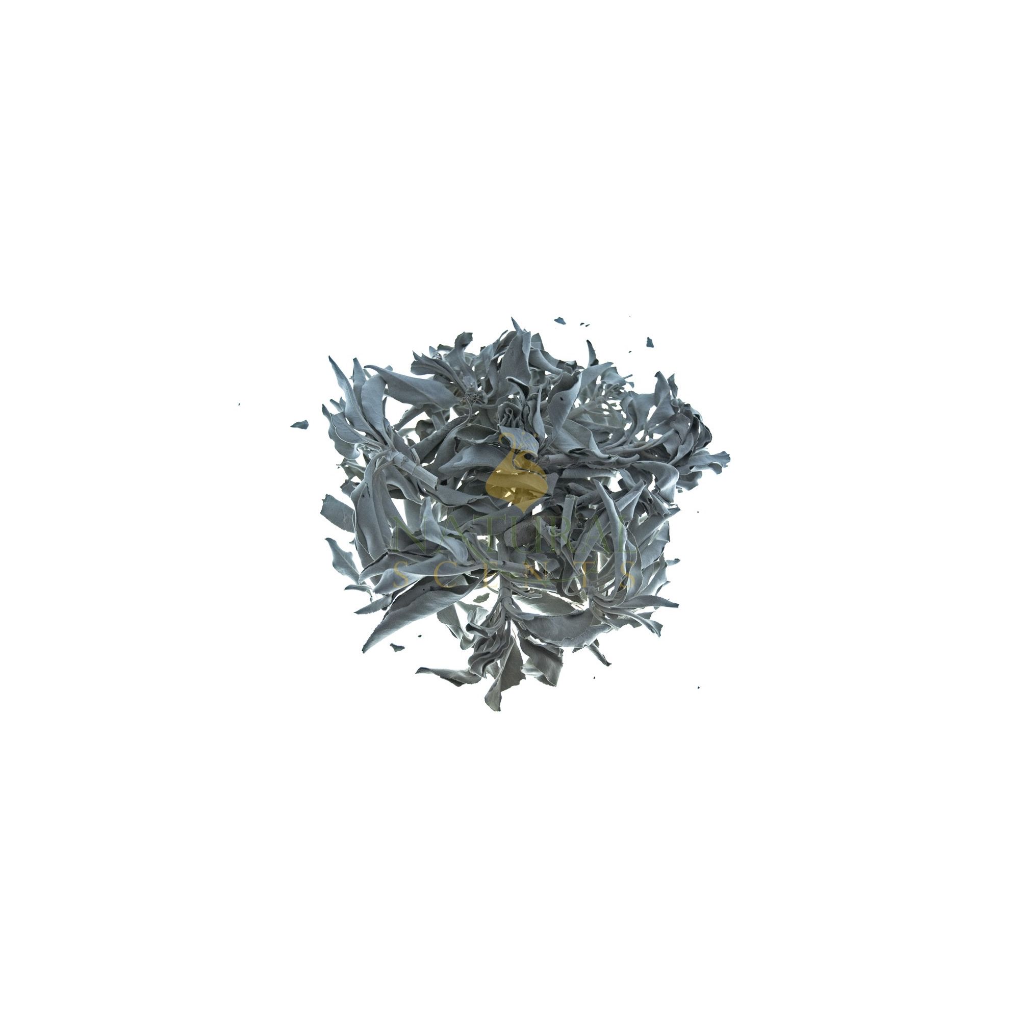 White Sage Leaves 10lbs