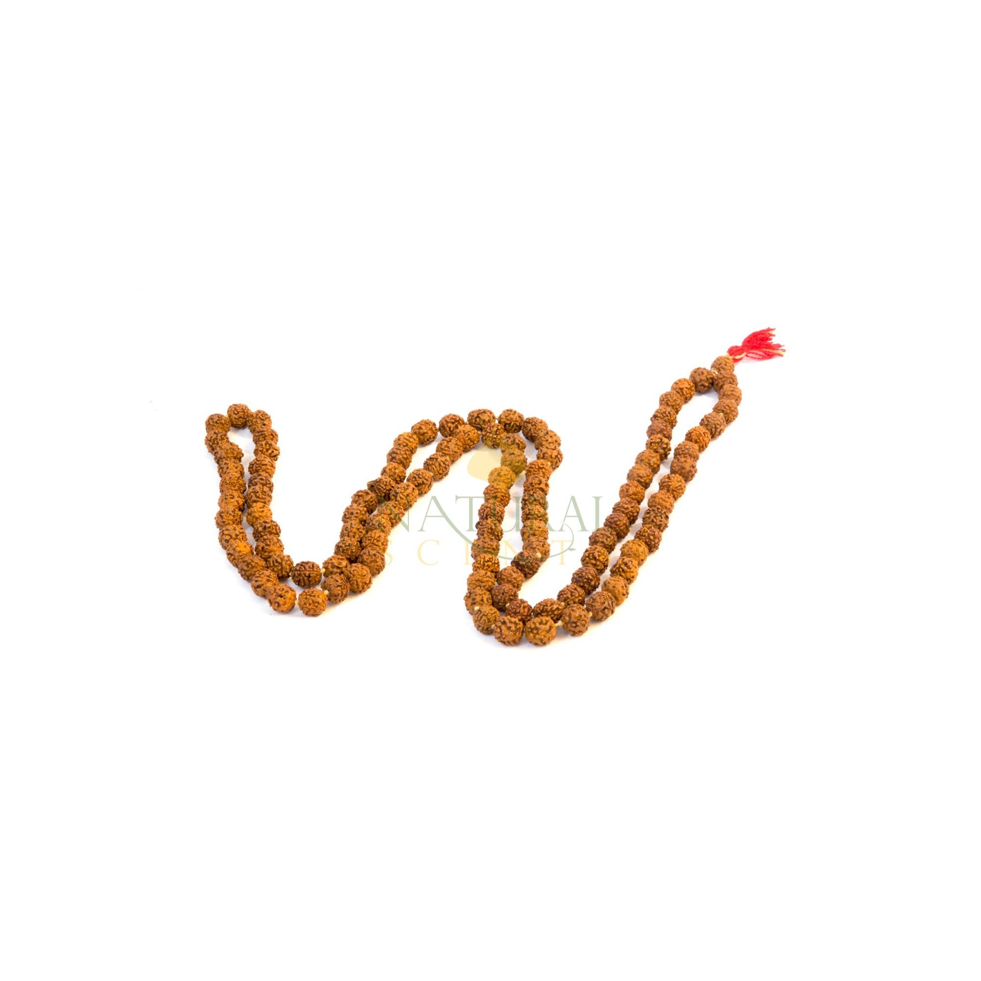 Mala Rudraksha Prayer (12mm)
