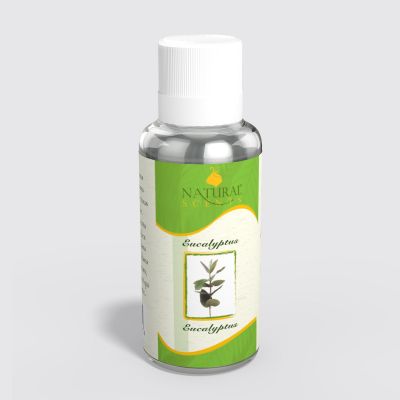 Eucalyptus Oil