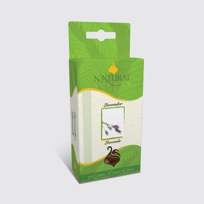 Lavender Regular Cones