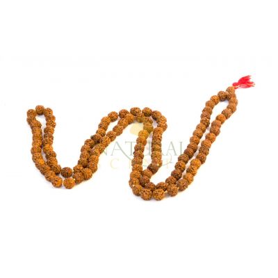 Mala Rudraksha Prayer (12mm)